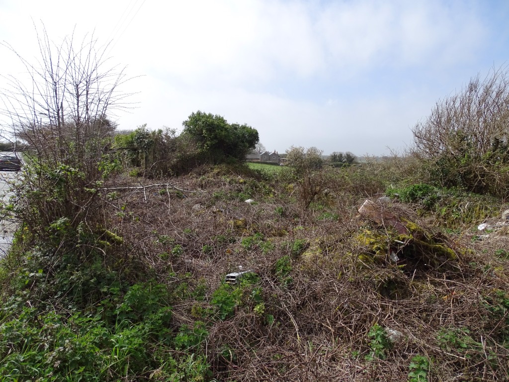 Lot: 34 - PARCEL OF LAND WITH DERELICT BARN - Barn ruins and land on roadside